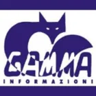 Immagine 9 azienda GAMMA INFORMAZIONI Servizi professionali in Napoli