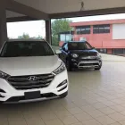 Immagine 4 azienda GARAGE MUCCIOLI SAS Veicoli in Riccione RN