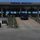Immagine 7 azienda GARAGE MUCCIOLI SAS Veicoli in Riccione RN