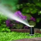 Immagine 5 azienda GARDEN BEDETTI Vivaio in Cantù