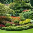 Immagine 1 azienda GARDEN CENTER QUADRIFOGLIO Vivaio in Nichelino TO