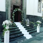 Immagine 6 azienda GARDEN DI MAIO Vivaio in Napoli