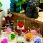 Immagine 7 azienda GARDEN DI MAIO Vivaio in Napoli