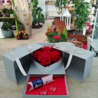 Immagine 8 azienda GARDEN DI MAIO Vivaio in Napoli