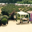 Immagine 2 azienda GARDEN LINE Vivaio in Parma