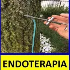 Immagine 3 azienda GARDEN LINE Vivaio in Parma