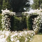 Immagine 4 azienda GARDEN LINE Vivaio in Parma