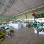Immagine 2 azienda GARDEN SHOP PASINI Vivaio in Montichiari BS