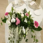 Immagine 4 azienda GARDEN SHOP PASINI Vivaio in Montichiari BS