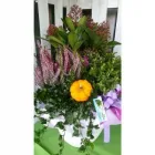 Immagine 5 azienda GARDEN VALCAVASIA - TUTTO PER IL GIARDINO Vivaio in Cavaso Del Tomba TV