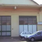 Immagine 3 azienda GAROZZO PIETRO E FIGLI AGRICOLTURA Vivaio in Catania