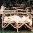 Immagine 1 azienda GATTI SISTEMI DI SICUREZZA Veicoli in Venezia