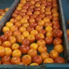 Immagine 4 azienda GE.LO. FRIGO SERVICE Veicoli in Scordia CT