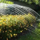 Immagine 3 azienda GEA IMPIANTI SRL - FORNITURE IDROELETTRICHE Shopping e acquisti in Roma