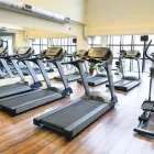 Immagine 8 azienda GEESINK TEAM Sport e tempo libero in Modena