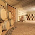 Immagine 5 azienda GEOM. GIULIANI E VIEIDER Topografo in Appiano Sulla Strada Del Vino BZ