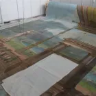 Immagine 2 azienda GERSO RESTAURO OPERE D'ARTE SRL Industrie e agricoltura in Ravenna