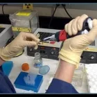 Immagine 3 azienda GESTIONE LABORATORI SCIENTIFICI LE BETULLE Salute in Appiano Gentile
