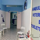 Immagine 3 azienda GF VET AMBULATORIO VETERINARIO E TOELETTATURA Veterinario in Napoli