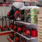 Immagine 1 azienda GIARDINAGGIO PONTECORVI Vivaio in Velletri RM