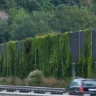 Immagine 1 azienda GIARDINERIA ROTTENSTEINER OUTSIDE GREEN PROJECTS Vivaio in Bolzano