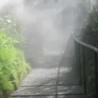 Immagine 2 azienda GIARDINERIA ROTTENSTEINER OUTSIDE GREEN PROJECTS Vivaio in Bolzano