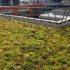 Immagine 8 azienda GIARDINERIA ROTTENSTEINER OUTSIDE GREEN PROJECTS Vivaio in Bolzano