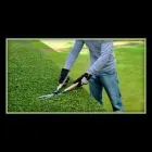 Immagine 1 azienda GIARDINI ITALIANI Vivaio in Tradate VA