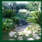 Immagine 1 azienda GIARDINIERE GREEN Vivaio in Albano Laziale RM