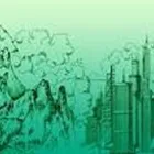 Immagine 2 azienda GIARDINIERE GREEN Vivaio in Albano Laziale RM