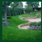 Immagine 3 azienda GIARDINIERE GREEN Vivaio in Albano Laziale RM