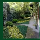 Immagine 4 azienda GIARDINIERE GREEN Vivaio in Albano Laziale RM