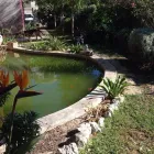 Immagine 3 azienda GIARDINODIVINO Vivaio in Ispica