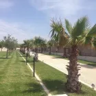 Immagine 4 azienda GIARDINODIVINO Vivaio in Ispica