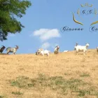 Immagine 5 azienda GIASONE CASHMERE Shopping e acquisti in Sassuolo MO