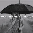 Immagine 7 azienda GIDASS ASSOCIAZIONE Società finanziaria in Silea TV