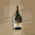 Immagine 11 azienda GILAC SRL Produzione di birra in Rivoli TO