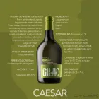 Immagine 15 azienda GILAC SRL Produzione di birra in Rivoli TO