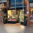 Immagine 1 azienda GIOIELLERIA CARBONI Industrie e agricoltura in Parma