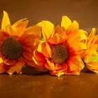 Immagine 7 azienda GIUBILEO CORSO TORTONA Shopping e acquisti in Torino