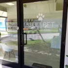 Immagine 2 azienda GIULI PET TOELETTATURA Shopping e acquisti in Vicenza