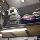 Immagine 2 azienda GLI AMICI DELLA NATURA Industrie e agricoltura in Messina