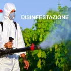 Immagine 5 azienda GLOBAL SERVICE IMPRESA DI PULIZIE SOC.COOP. Servizi professionali in Salerno