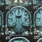 Immagine 2 azienda GOZZO DR. EMANUELE Salute in Ferrara