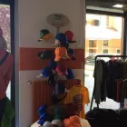 Immagine 2 azienda GRAFICANDO Shopping e acquisti in Collegno TO