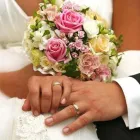 Immagine 1 azienda GRANDE FEDERICO PIANTE E FIORI Vivaio in Palermo