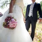 Immagine 3 azienda GRANDE FEDERICO PIANTE E FIORI Vivaio in Palermo