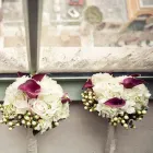 Immagine 4 azienda GRANDE FEDERICO PIANTE E FIORI Vivaio in Palermo