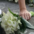 Immagine 5 azienda GRANDE FEDERICO PIANTE E FIORI Vivaio in Palermo