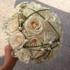 Immagine 6 azienda GRANDE FEDERICO PIANTE E FIORI Vivaio in Palermo